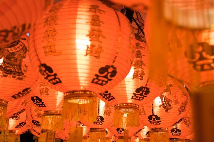 Happy Chinese New Year đ Oink Oink
