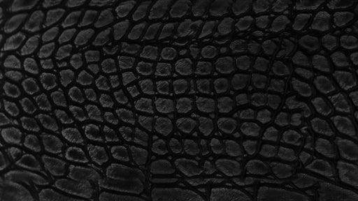 How to Wear the Season’s “It” Print: Snakeskin