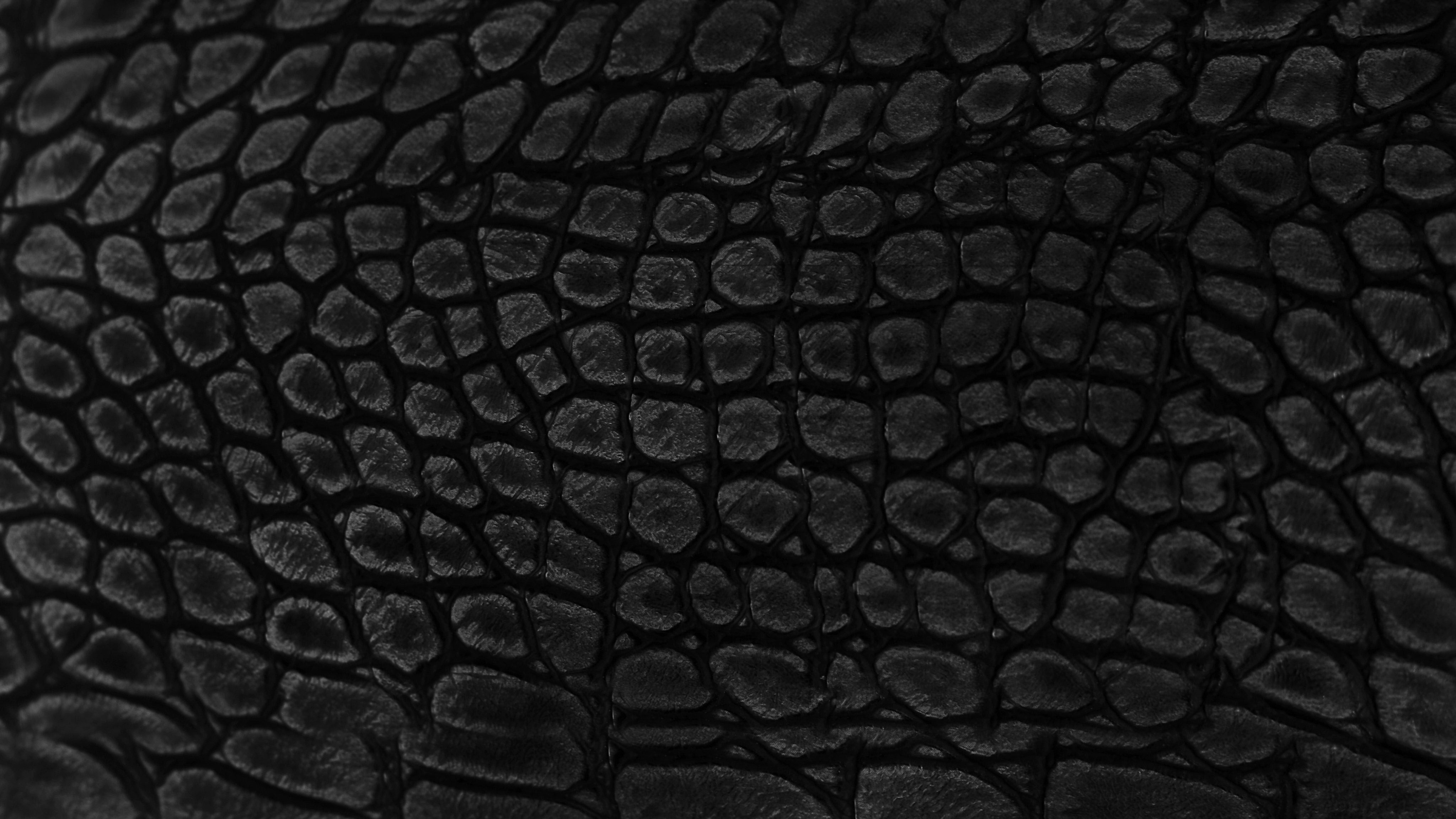 How to Wear the Season’s “It” Print: Snakeskin