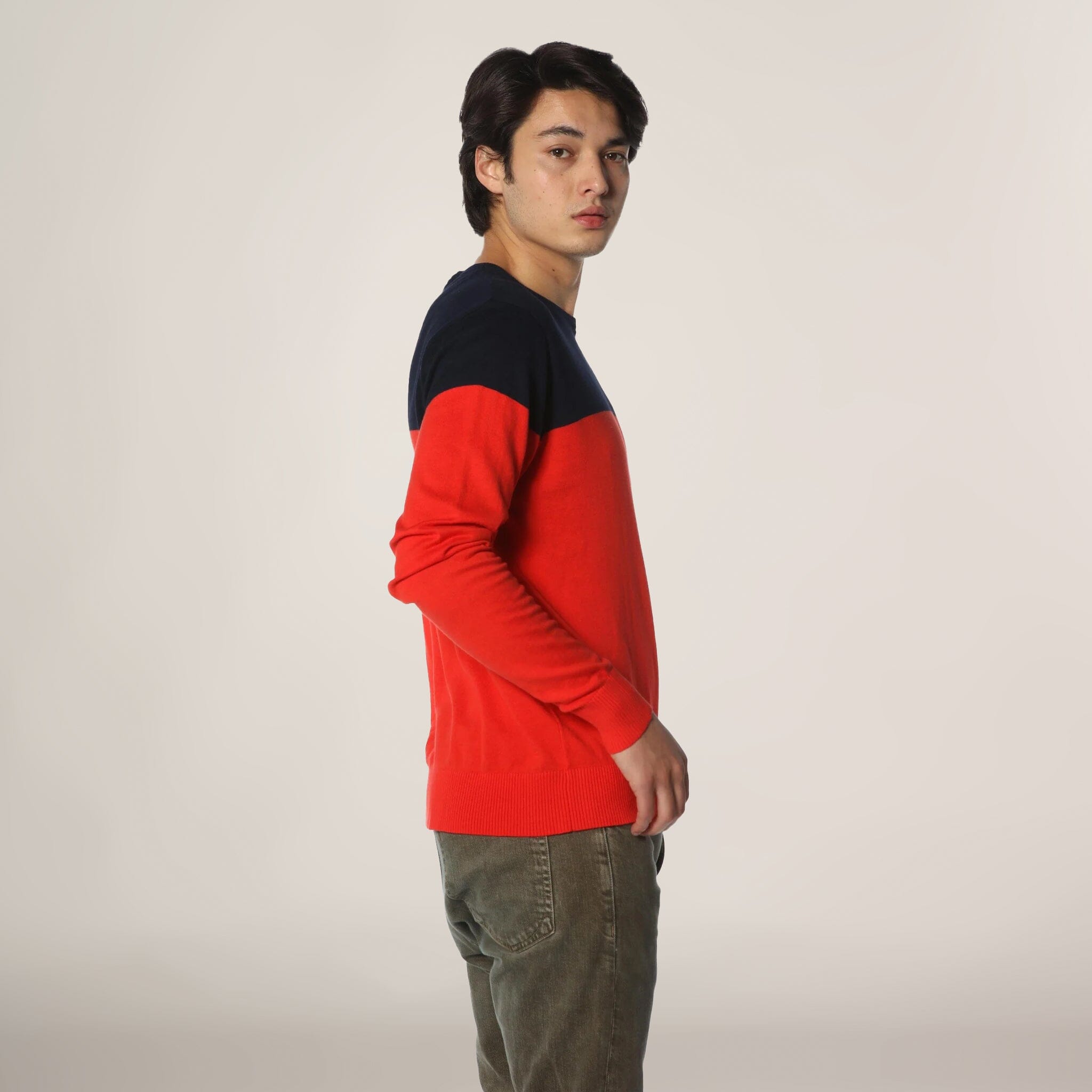 Men's Color Block Pullover Sweater Shirt Members Only 